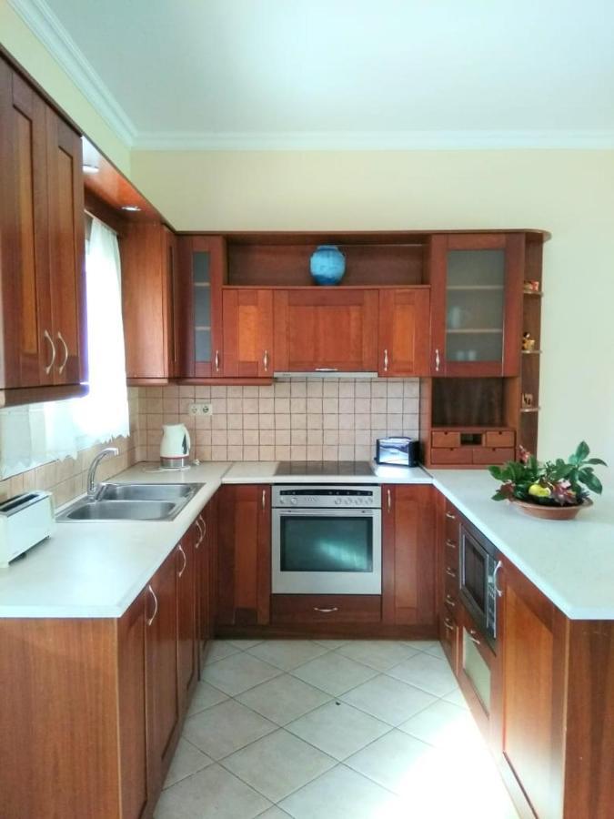 Lonelia'S Family Homes Lefkimi Extérieur photo